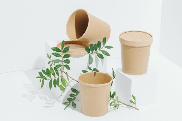 Disposable,,Compostable,,Recyclable,Plastic-free,Bamboo,Pots,With,Lids,On,Pedestals